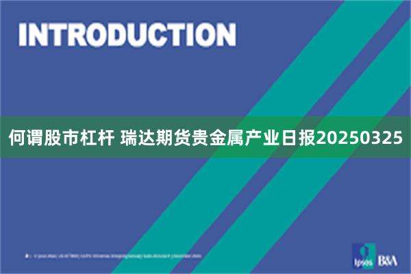 何谓股市杠杆 瑞达期货贵金属产业日报20250325