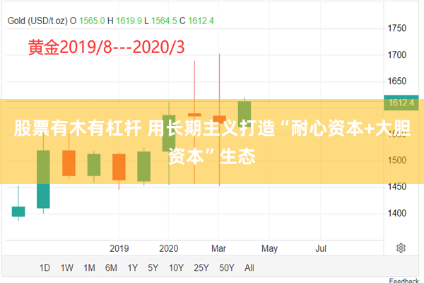 股票有木有杠杆 用长期主义打造“耐心资本+大胆资本”生态