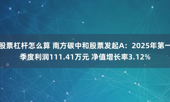 股票杠杆怎么算 南方碳中和股票发起A：2025年第一季度利润111.41万元 净值增长率3.12%