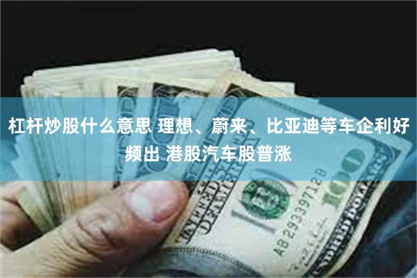 杠杆炒股什么意思 理想、蔚来、比亚迪等车企利好频出 港股汽车股普涨