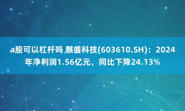a股可以杠杆吗 麒盛科技(603610.SH)：2024年净利润1.56亿元，同比下降24.13%