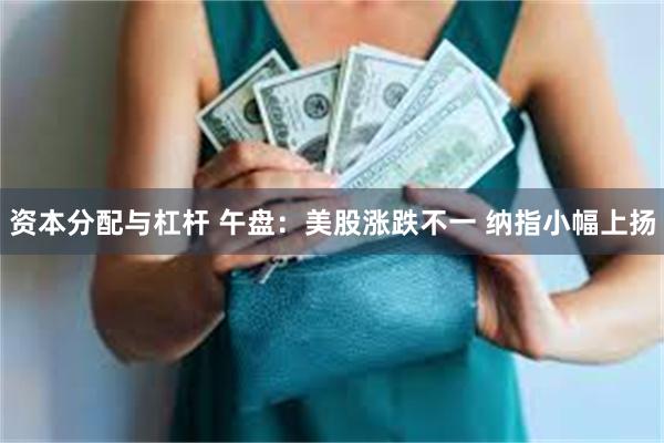 资本分配与杠杆 午盘：美股涨跌不一 纳指小幅上扬