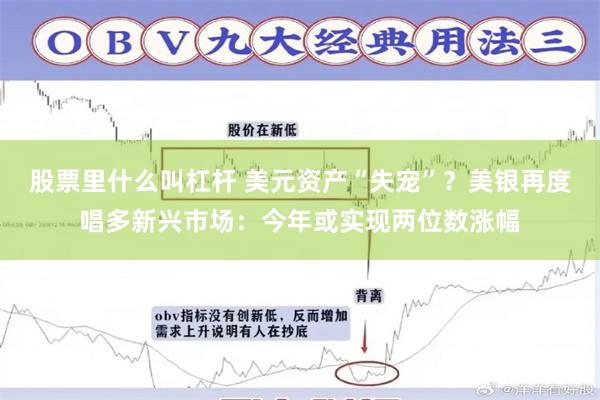 股票里什么叫杠杆 美元资产“失宠”？美银再度唱多新兴市场：今年或实现两位数涨幅