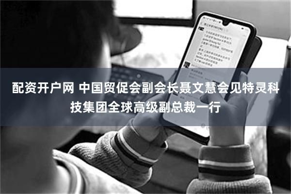 配资开户网 中国贸促会副会长聂文慧会见特灵科技集团全球高级副总裁一行
