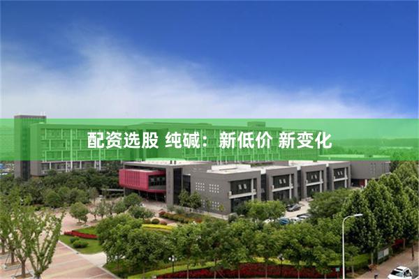 配资选股 纯碱：新低价 新变化