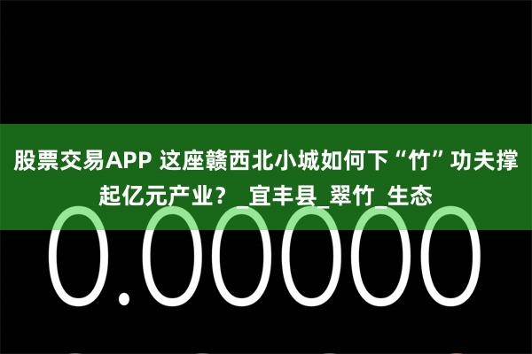 股票交易APP 这座赣西北小城如何下“竹”功夫撑起亿元产业？_宜丰县_翠竹_生态