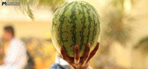 最新娱乐吃瓜,明星隐私曝光，幕后黑手浮出水面