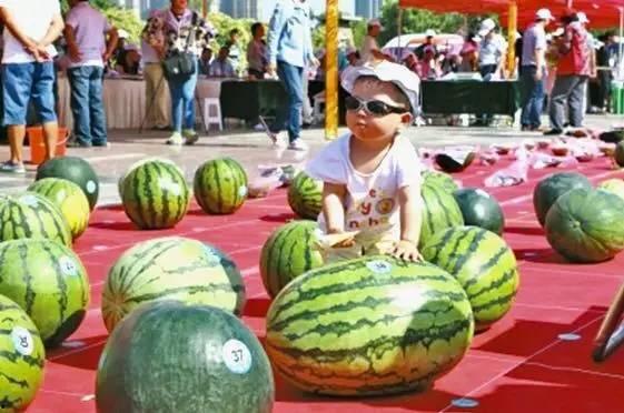 娱乐吃瓜君河南,吃瓜君带你揭秘本土明星幕后故事