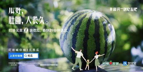 啵啵娱乐吃瓜,揭秘娱乐圈吃瓜背后的真相与笑料